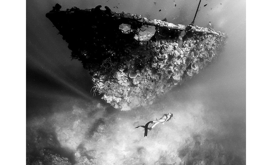 2. Preis Wracks: Catalin Craciun aus Rumänien © Catalin Craciun